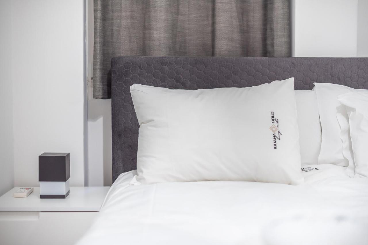 Iguana Gold Luxury Suites 2 Atina Dış mekan fotoğraf